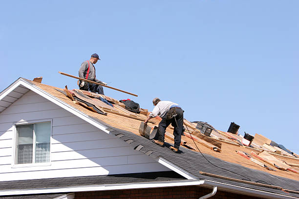 Roof Insulation in Blue Ridge, AL